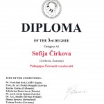 Diplomai Oskar Strok_page-0007